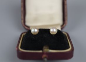 Gold pearl set earrings