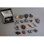 Collection of brooches