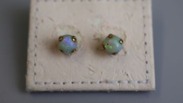 Gold opal set stud earrings