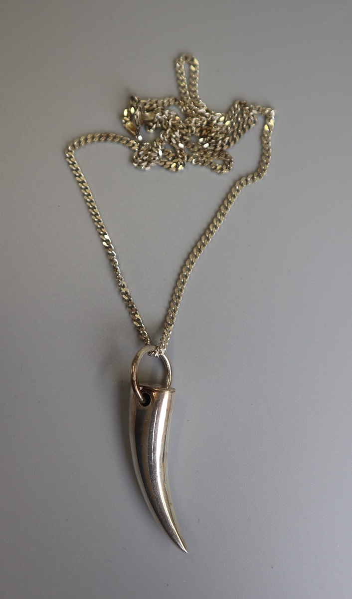 Silver horn pendant on chain