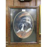 A framed and glazed print of Collie dog