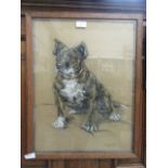 A framed and glazed charcoal and pastel drawing of dog titled 'Mike' signed Truda Hope 8.9.