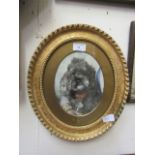 A gilt framed oval watercolour of poodle