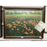A framed oil on canvas titled 'Poppies In Field' signed Azzinari