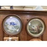 Two circular framed and glazed oil paintings of kingfisher and birds on branch