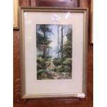 A framed and glazed watercolour of woodland path scene signed Gordon Robinson