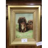 A gilt framed oil on board of a Pekingese dog