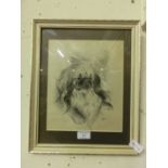 A framed and glazed charcoal drawing of a Pekingese dog signed V.Gilpin