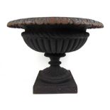 A 19th century cast iron garden urn, the egg and dart rim over the gadrooned body on a square