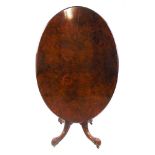 An Edwardian burr walnut breakfast table, the quarter veneered oval tilt top on a four column