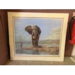 A limited edition print of an elephant 41/100 signed Tony Forrest