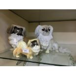 Three ceramic models of Pekingese by Nymphenburg, largest 25 cm longCondition report: Chip to top of