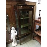 An early 20th century mahogany display cabinet with single glazed door enclosing a velvet lined
