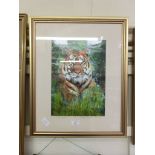 A framed and glazed enhanced print of a tiger 'The Hunter' signed Paul McIntyre