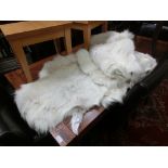 Two goat skin rugs