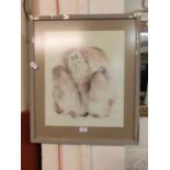 A framed and glazed possible print of orangutan
