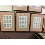 A set of five framed and glazed architectural prints