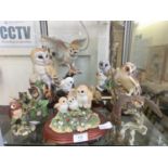 A collection of moulded and ceramic figures of owls by various makers