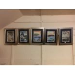 A set of five framed and glazed Japanese wood block style prints