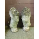 A pair of composite stone garden lions