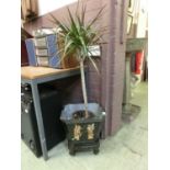 A potted palm in a chinoiserie pot