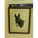 A framed and glazed print of donkey titled 'Busby'
