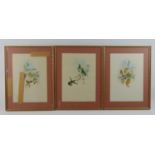 After J. Gould and H.C Richter (British 19th century),hummingbirds on flowers,coloured lithographs,