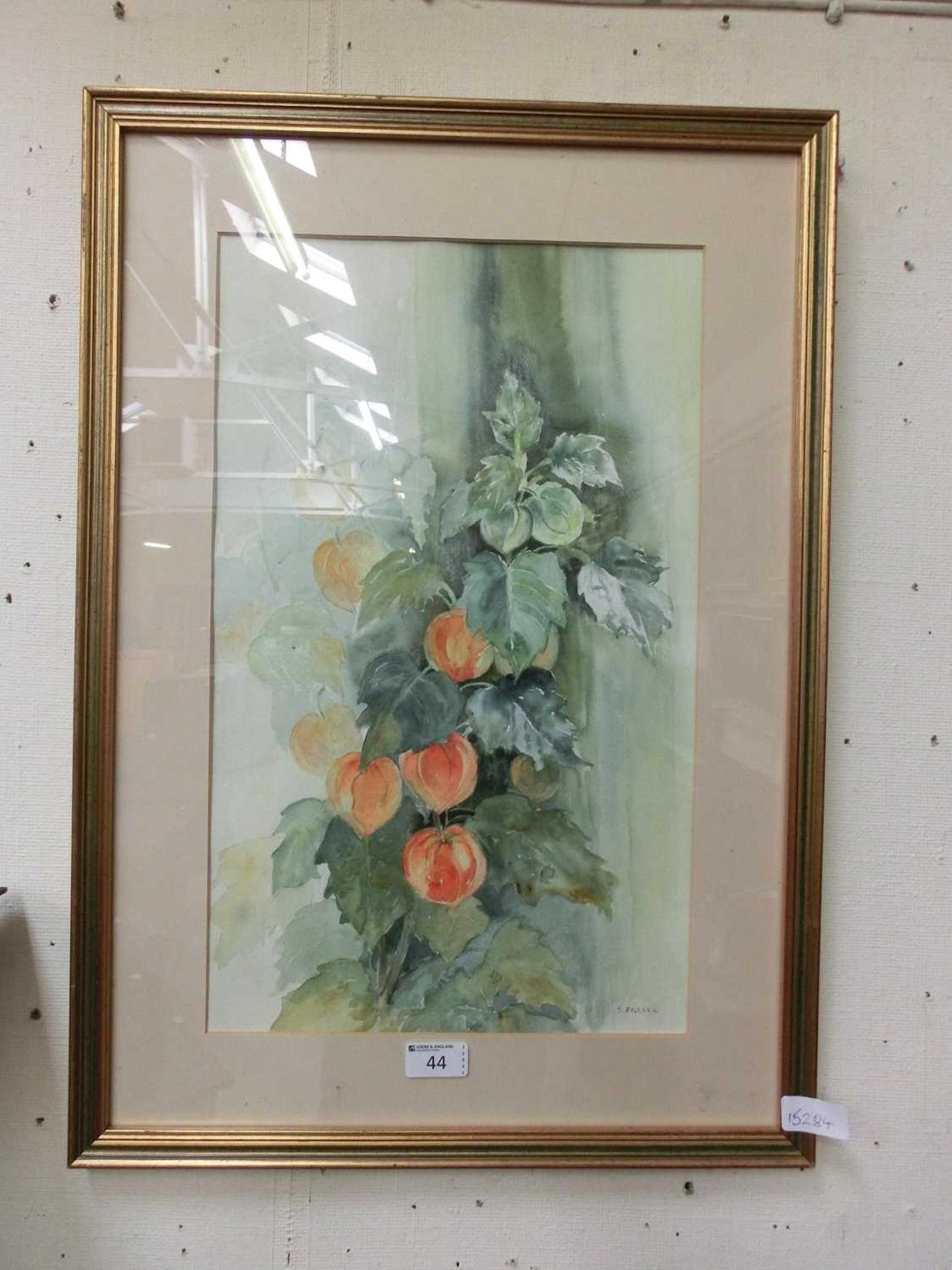 A framed and glazed watercolour of still life signed S.Parker