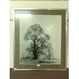 A framed and glazed monochrome David Shepherd print of trees