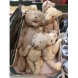 A tray containing a collection of early 20th century teddy bears