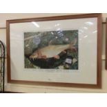 A framed and glazed limited edition print 'British Record Barbel'
