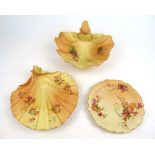 Royal Worcester - three blush ivory and florally decorated pieces including shell dish, date