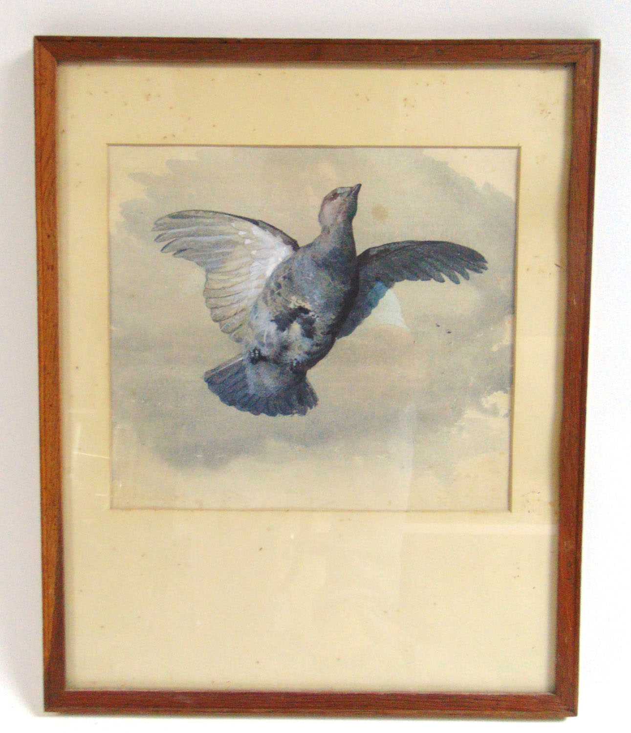 Archibald Thorburn (Scottish 1860-1935)bird in flightwatercolourunsigned, gallery label verso24 cm x