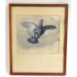 Archibald Thorburn (Scottish 1860-1935)bird in flightwatercolourunsigned, gallery label verso24 cm x