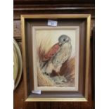 An oil on board of bird of prey signed Berrisford Hill