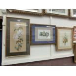 A gilt framed and glazed watercolour of lilies together with one other of fruit and one framed and