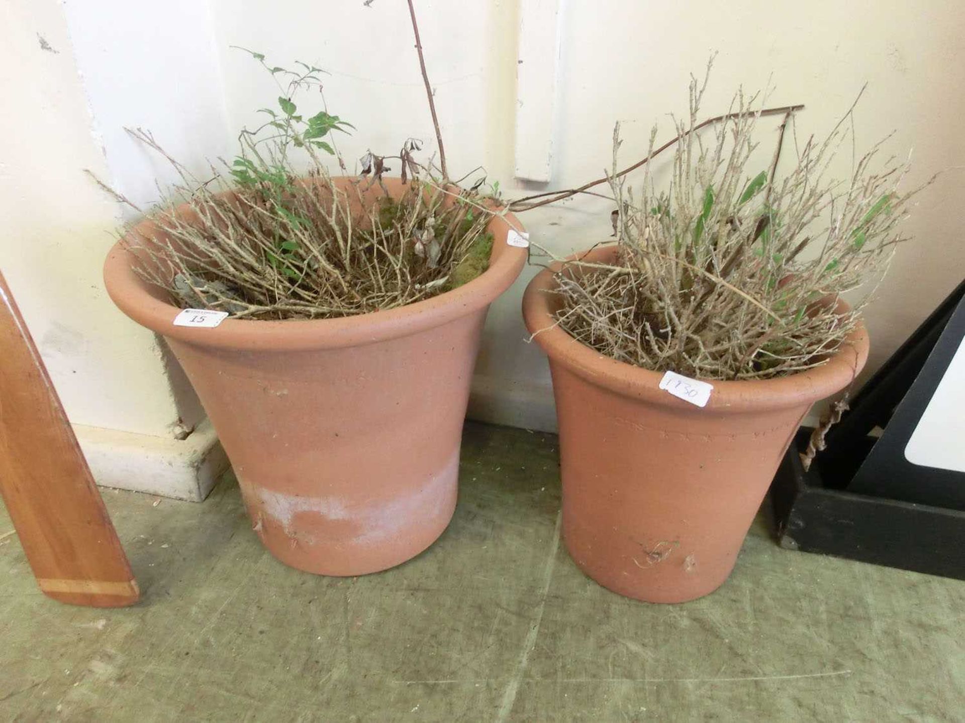 Two terracotta plant pots with dead plants