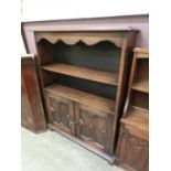 An early 20th century oak bookcase having a pair of doors to base