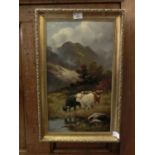 A gilt framed oil on canvas of highland cattle signed bottom left D M Ewan