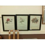 Three framed and glazed prints of still life