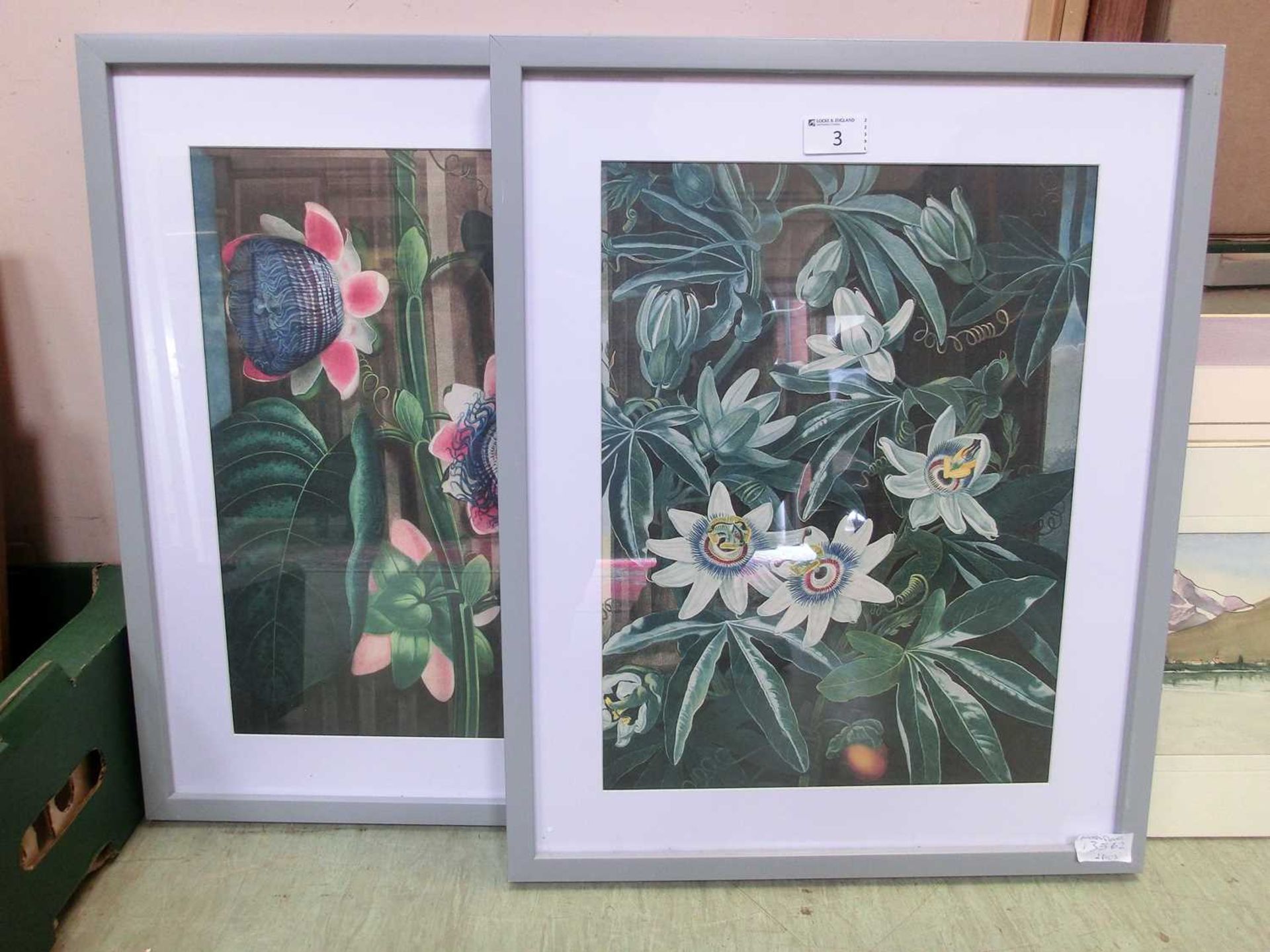 Two framed and glazed prints of passion flowers