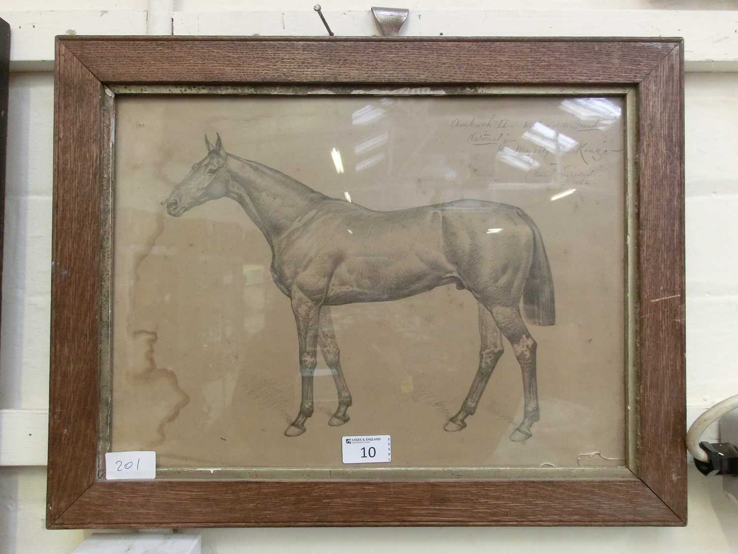 A framed and glazed possible pencil drawing of horse after Basil Nightingale titled 'Ambush II,