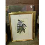 A framed and glazed watercolour of roses along with three unframed oils