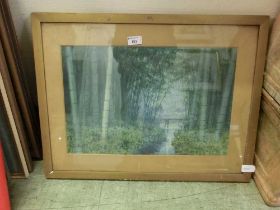 A framed and glazed watercolour of bamboo forest signed Y.Ito