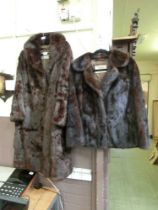 Two dark brown fur coats