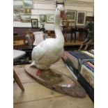 A stuffed goose on wooden base