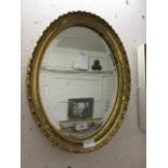 An ornate gilt oval bevel glass mirror