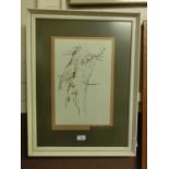 A framed and glazed pen drawing of a tree by Nancy Upshall 1972