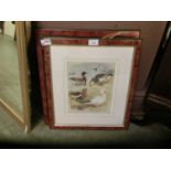 Two framed and glazed prints of birds