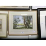 A framed and glazed watercolour of tree by river scene signed J.G.Salt